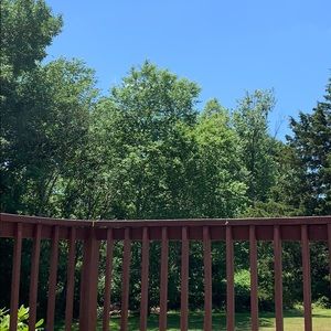 Meet your Posher, Emoly